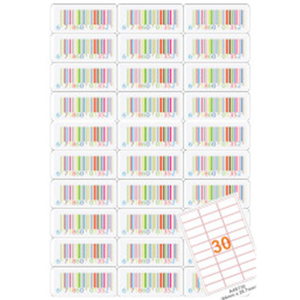 Desmat A4 Size Labels (30 Label Sheet, ST30)- 100 Sheets - Paper Labels - Desmat - Swas Stationery